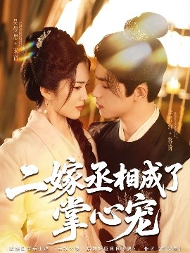 二嫁丞相成了掌心宠(全集)