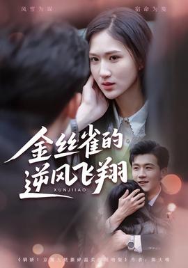 金丝雀的逆风飞翔(全集)